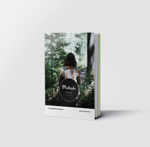 Custom Printed Direct Mail Perfect Bound Booklets