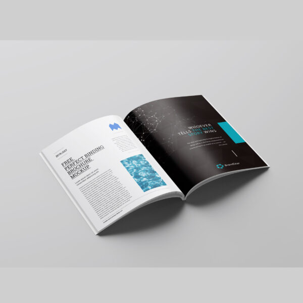 Custom Printed Perfect Bound Booklets - Image 3