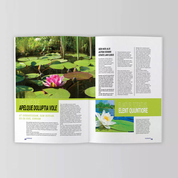 Magazines